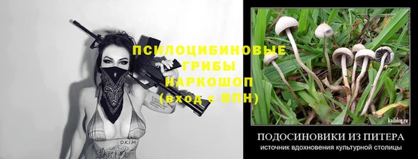 марки nbome Инта