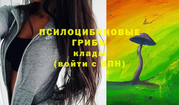 MDMA Инсар